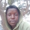 user3780020707524