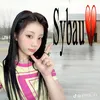 imviet4