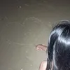 iucailon200