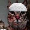 im_him2100