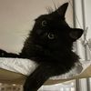 hello_12377.a