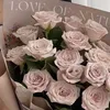 _ibtissvmss