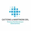 marco.gattone_gm_srl