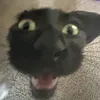 ._.rageur