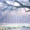 ume_.00