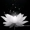 sc.nheo