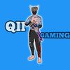 QII GAMING