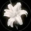 fypr_52