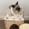 tom_the_bunny