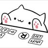 i.e.chou
