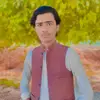 naseem.khan7308