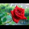 sary89119