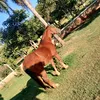 florfernanda.conc