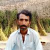 mamtaz.haraj