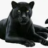 user7717029822411
