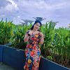paneiphyu.vicucuf