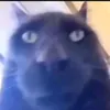 luca._.958