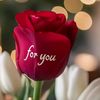 mian.yasin261