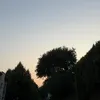 julia_p0l1n