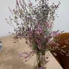 usdi.najla