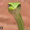 casperrr246