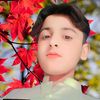 wazeer.ali7685