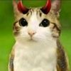 evilmeowl_lol