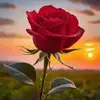 md.amir.islam133