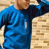 ibeesonboy001