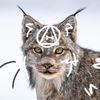 orion.therian