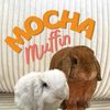 mocha_muffin