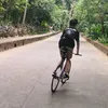 alfixed1