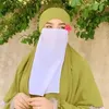 gullegean2