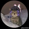 duolingo284