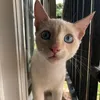 nico_.l83