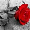 user4715775311332