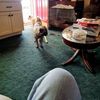 william.miller447