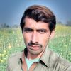 asifaliasif0810