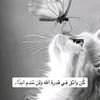 user69611325096568