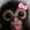 evelynmeow1