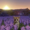 meowmeowmeowmeow5393