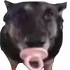 kittyinnfv9