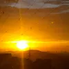 lagataloka8