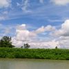mahiya50599