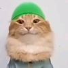 muslim_sheikh0