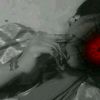 mixersiam2