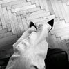 lntj_4