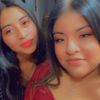 jasmine202400