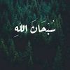 user32075769358128