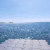 b34r00